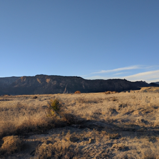 Sell land in New Mexico