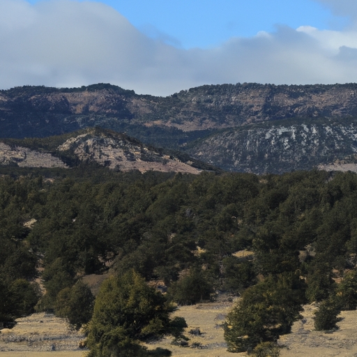 Fast cash for New Mexico land