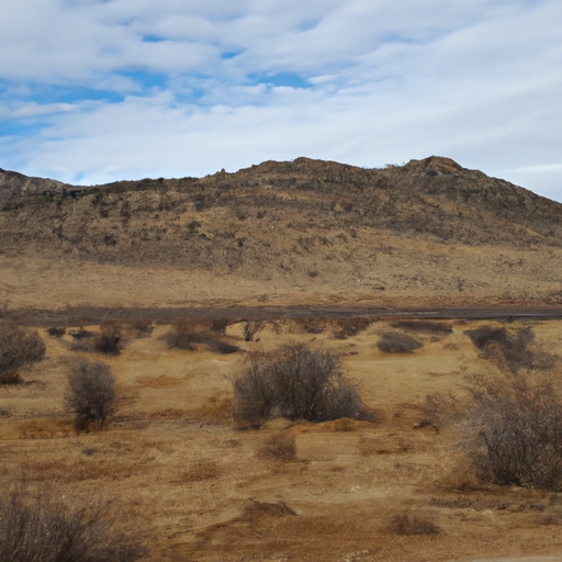 Sell land in New Mexico for cash