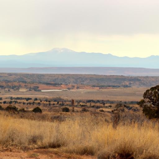 New Mexico land buyers