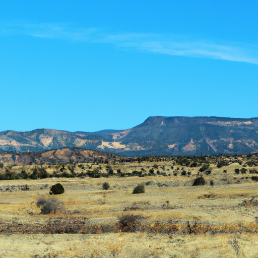 Land buyers in New Mexico