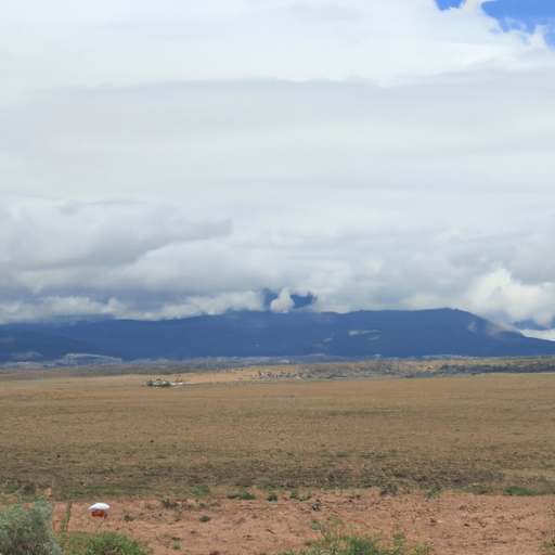 Land cash buyers in New Mexico