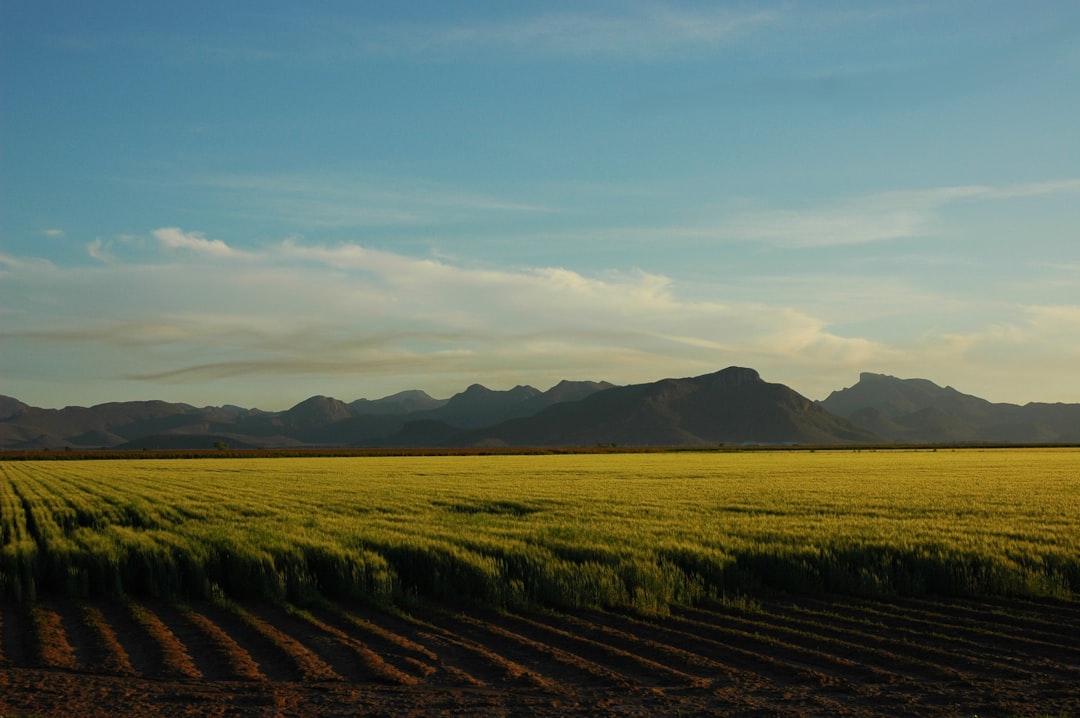 Fast sale New Mexico land for cash