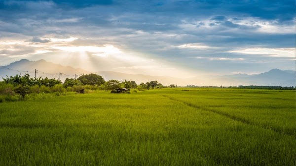 Pennsylvania land sale process