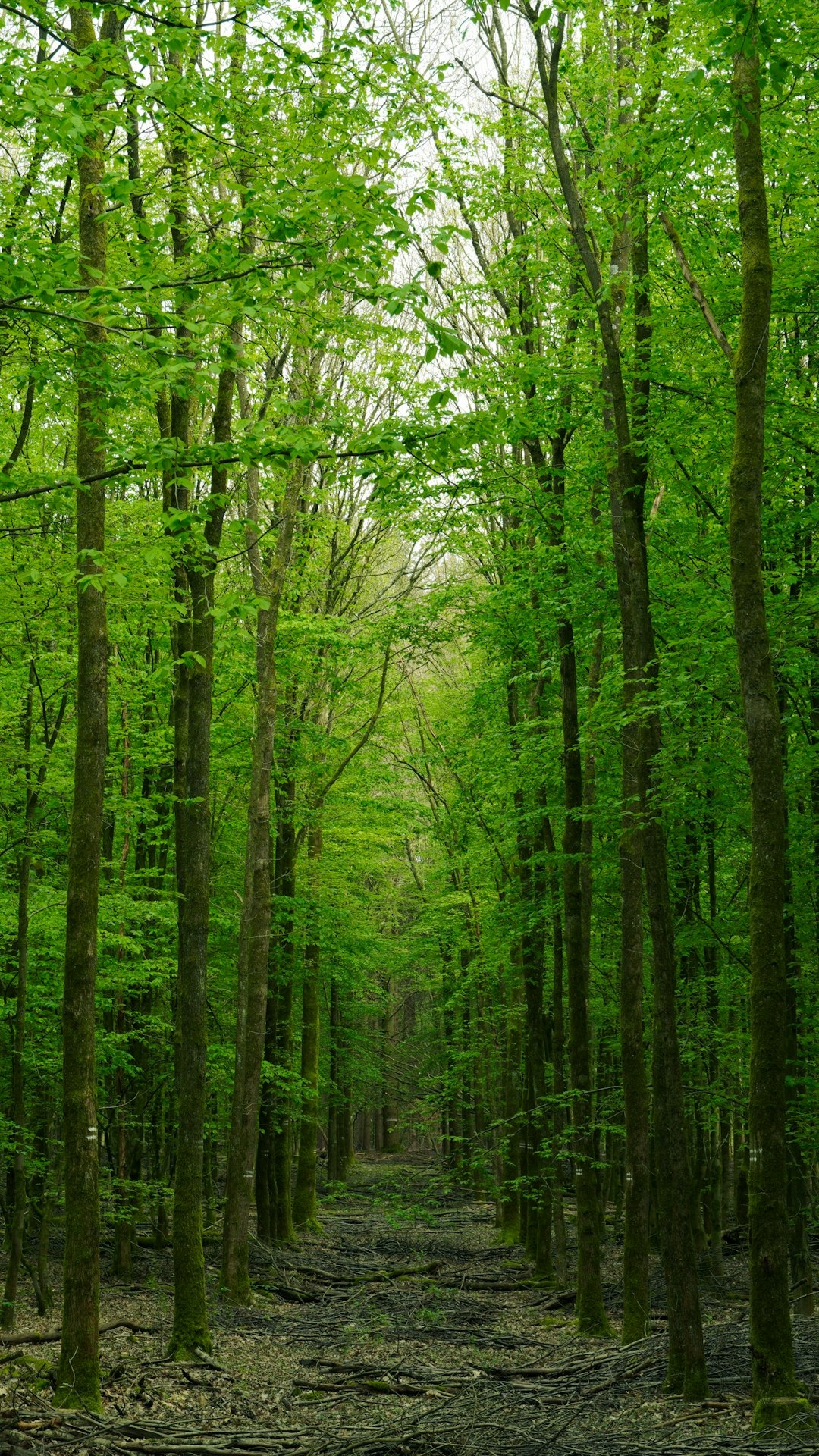 Georgia farmland for sale for cash