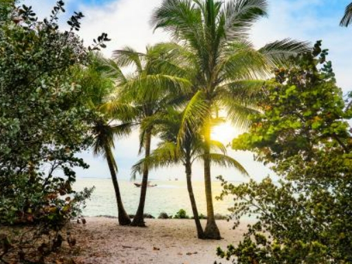 Hawaii vacant land buyers