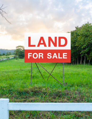 Negotiating the Sale Price and Terms When Selling Georgia Land for Cash