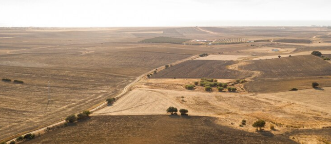 New Mexico land cash buyers