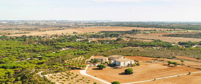 Sell vacant land New Mexico