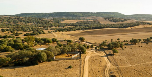 Selling rural land for cash