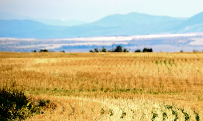 New Mexico land buyers