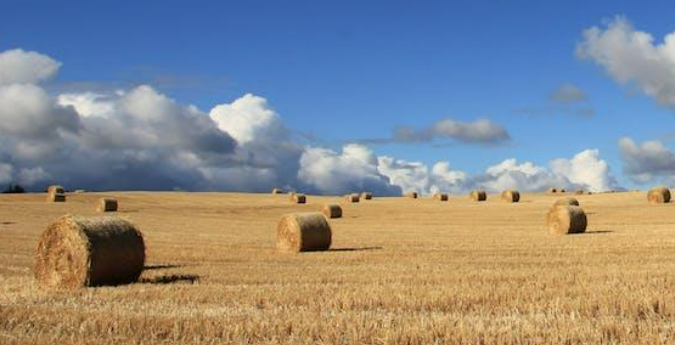 Land cash offer in New Mexico