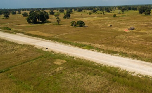 Cash for New Mexico land